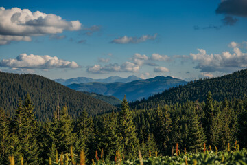A group of clouds in the sky