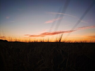 sunset in the fields
