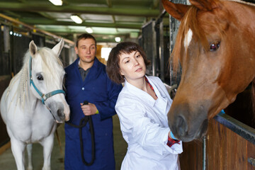 Female vet giving medical exam to horse in stable