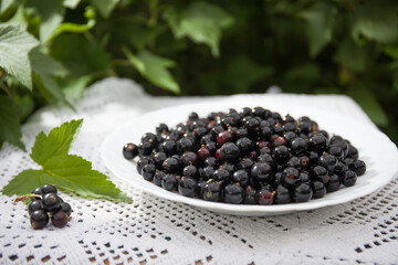 shiny, delicious and fresh black currant in a white Cup on a Lacy rustic tablecloth on a wooden background