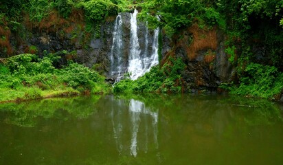 Fototapeta na wymiar Waterfall from kerala.its a natural beauty