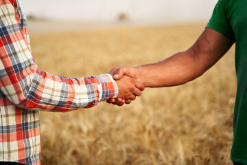 Farmer and agronomist shaking hands standing in a wheat field after agreement. Agriculture business contract concept. Combine harvester driver and rancher negotiate on harvesting season. Handshake - obrazy, fototapety, plakaty