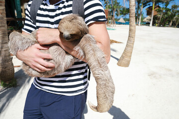 Man in stripe t shirt holding sloth animal on the beach © Naz