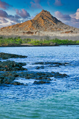 Galapagos Islands, Galapagos National Park, UNESCO World Heritage Site, Pacific Ocean, Ecuador, America
