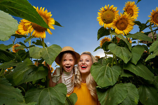 Young mother and daughter in a sunflower field