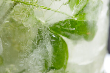 flowers and leaves in the ice