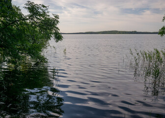 summer landscape with a pond and beautiful reflections