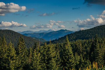 A tree with a mountain in the background