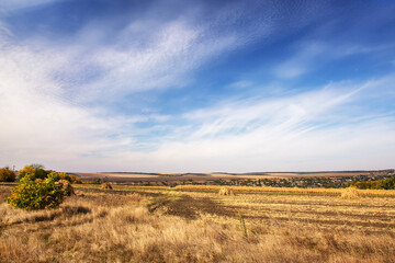 Autumn landscape. Yellow field and blue sky.