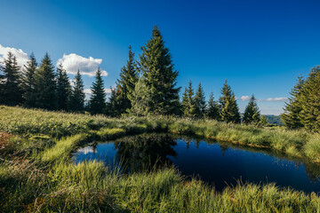 A close up of a pond