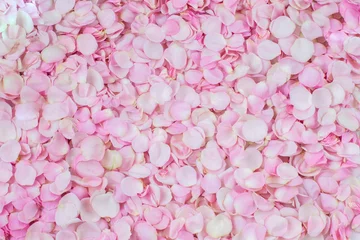 Foto op Aluminium many pink rose petals on the background © Julija