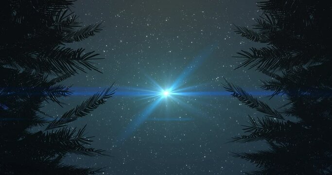Animation of glowing spot flickering and disappearing on night sky with stars surrounded by trees