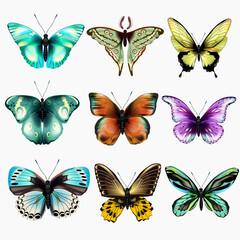 Fototapeta na wymiar Collection of colorful isolated butterflies