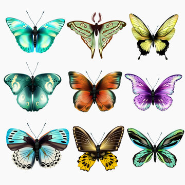 Collection of colorful isolated butterflies