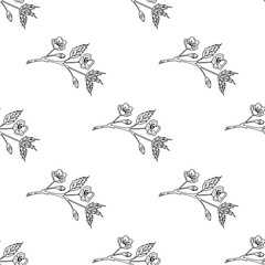 Seamless pattern with black-and-white sakura branches on white background. Vector image.