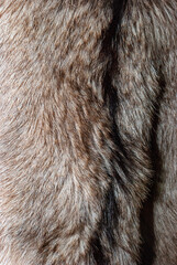 Fur, animal fur close-up, gray-brown shade