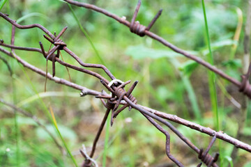 rusty barbed wire on a background of green foliage. concept of ecology and environmental protection - 368221310