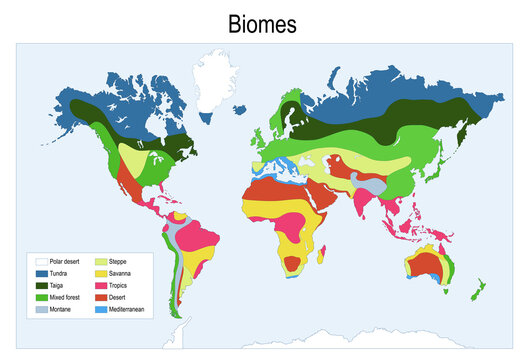 Color map of The main biomes in the world.