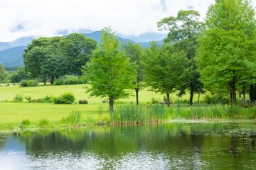 Fototapeta na wymiar 夏の日光にある池と緑の木々