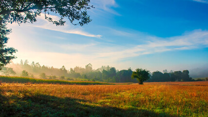 Paisaje de la campiña gallega al amanecer