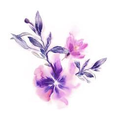 Violet Flowers. Watercolor Illustration.