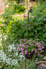 summer flowers in vintage pot