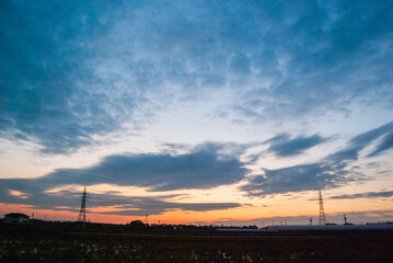 夕焼け空と田んぼと電波塔