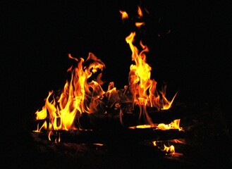 The bright orange flame of the fire. Firewood burns at night in the woods.