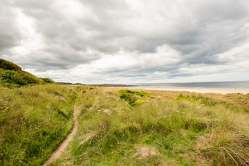 Fototapeta premium Path on a mountain