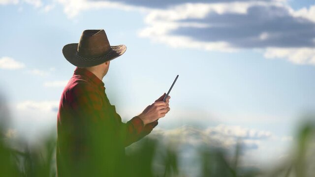 A male farmer in a hat stands in a field with a tablet, uses modern technology to monitor the condition of the field, determine plant diseases, and calculate fertilizers