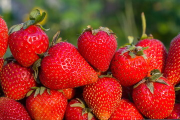 Large and natural strawberry close up