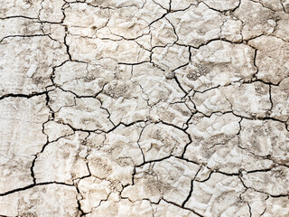 Textured background of dry cracked earth surface. drought in summer