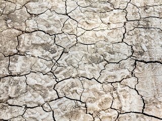 Textured background of dry cracked earth surface. drought in summer