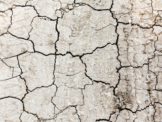 Textured background of dry cracked earth surface. drought in summer