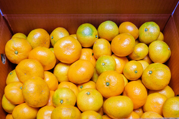 winter fruit tangerines rich in vitamin C