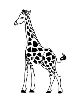 Cute giraffe vector illustration. Hand drawn african animal.