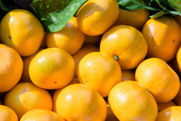 winter fruit tangerines rich in vitamin C