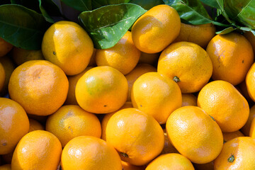winter fruit tangerines rich in vitamin C