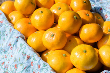 winter fruit tangerines rich in vitamin C