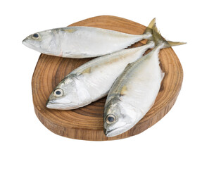 Fresh Mackerel fish on wooden chopping board  isolated on white background with clipping path
