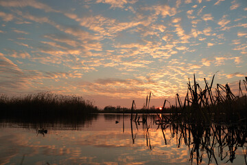 Colorful sunset by the Odra River, Poland.