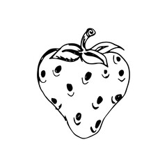 Strawberry Hand Drawn Illustration
