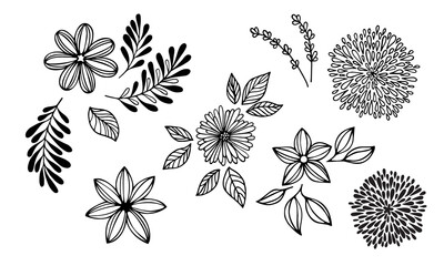 big set of botanical sketches and line doodles. hand drawn design floral elements. isolated flowers, leaves, herbs for decoration prints, labels, patterns. vector illustration.