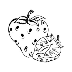 Strawberry Hand Drawn Illustration