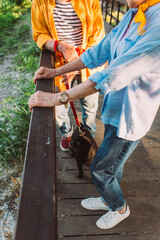 Cropped view of senior couple with pug dog on lash standing on bridge in park