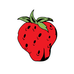 Strawberry Hand Drawn Color Illustration