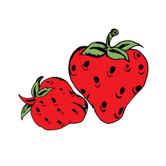 Strawberry Hand Drawn Color Illustration