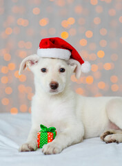 A white dog in a santa hat lies on the background of christmas lights hugging little gifts