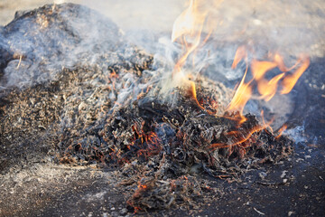 Naklejka premium Burning trash heap, wood sawdust