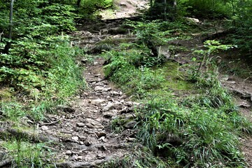 Droga w górach  © merko